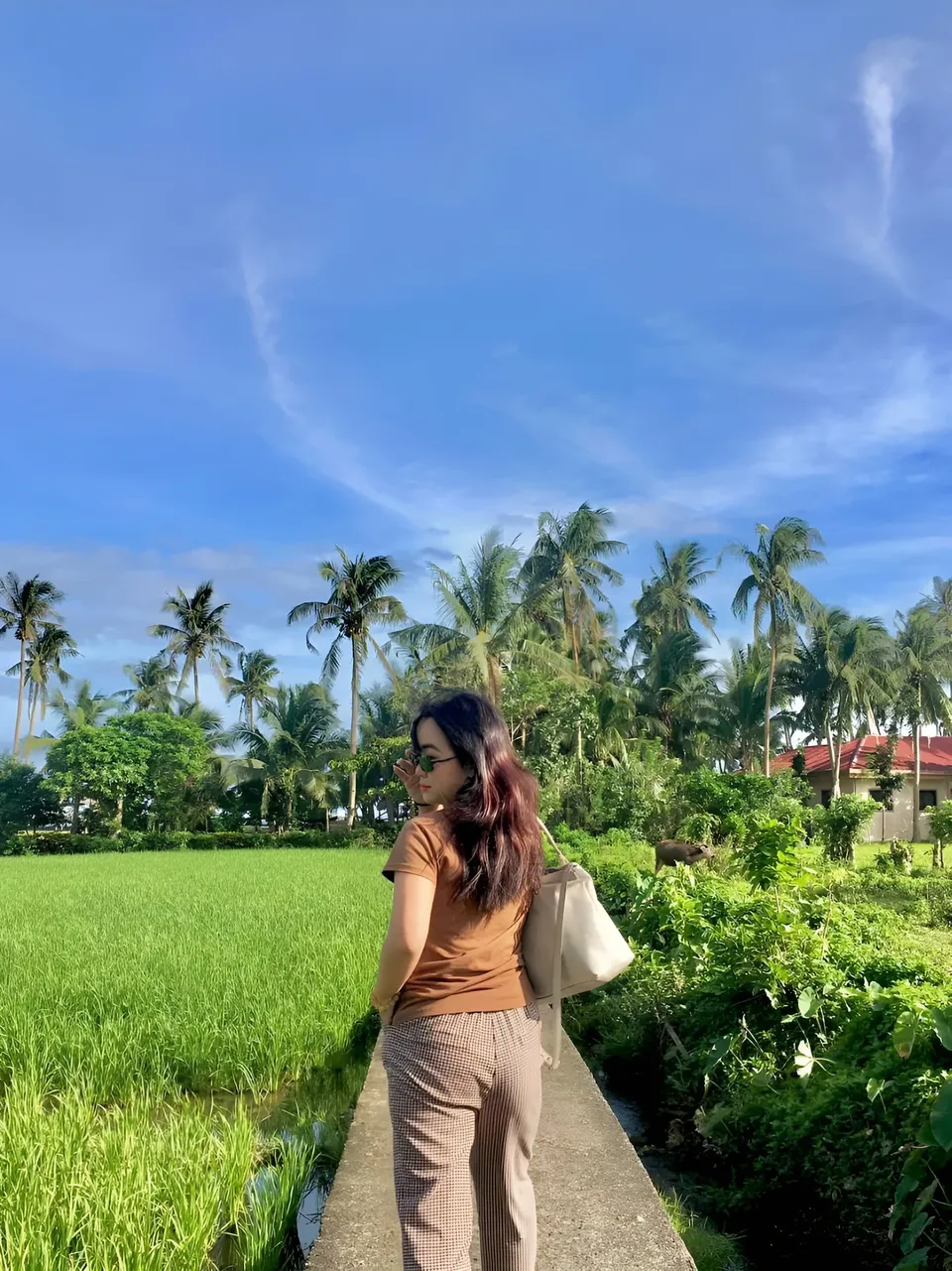 Sakura Keyema stands on path beside green rice field and palm trees