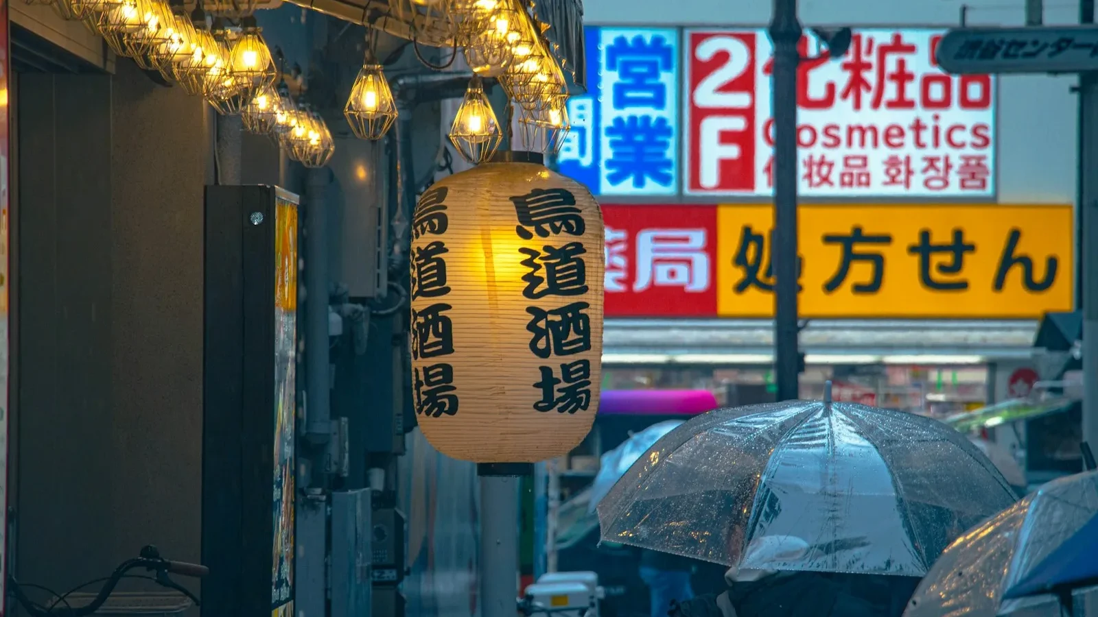 Language Expectations for Modeling in Japan