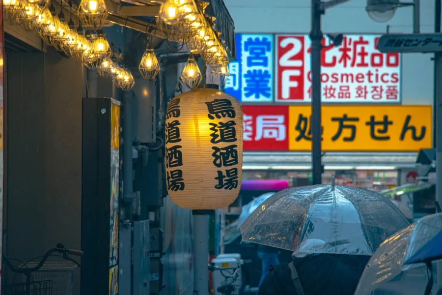Language Expectations for Modeling in Japan